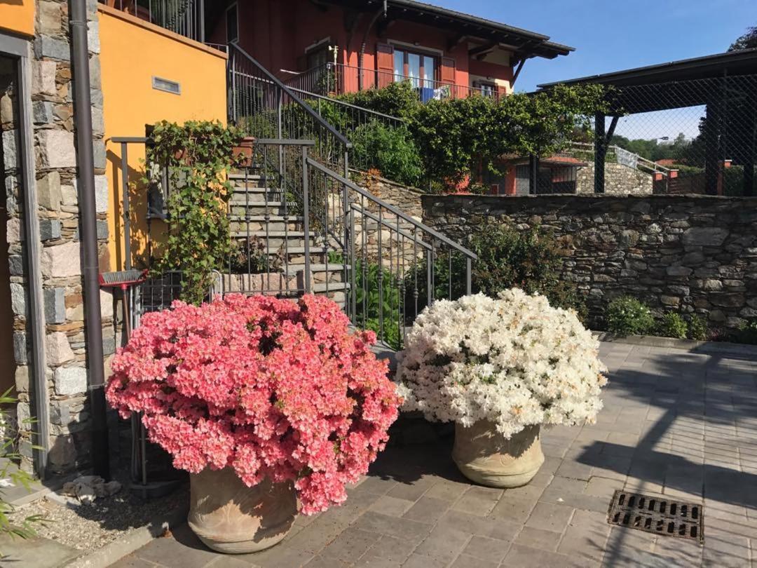 Vill'Ariel Sport & Relax Villa Brovello-Carpugnino Dış mekan fotoğraf